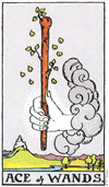 權杖一（Ace of Wands）塔羅牌