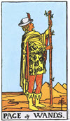 權杖侍者（Page of Wands）塔羅牌